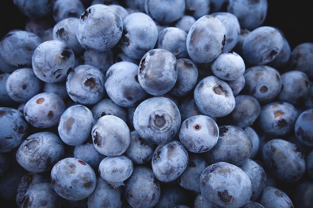 blueberries, fruits, blue-690072.jpg